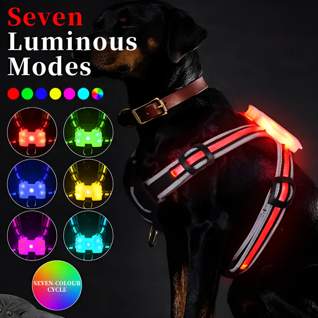 Nylon dog lead with a glowing seven-colour luminous strap and a USB charging cable.