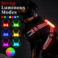Nylon dog lead with a glowing seven-colour luminous strap and a USB charging cable.