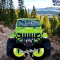 Beast Eye headlight decal sticker PVC 20x20cm monster eye lamp car decoration