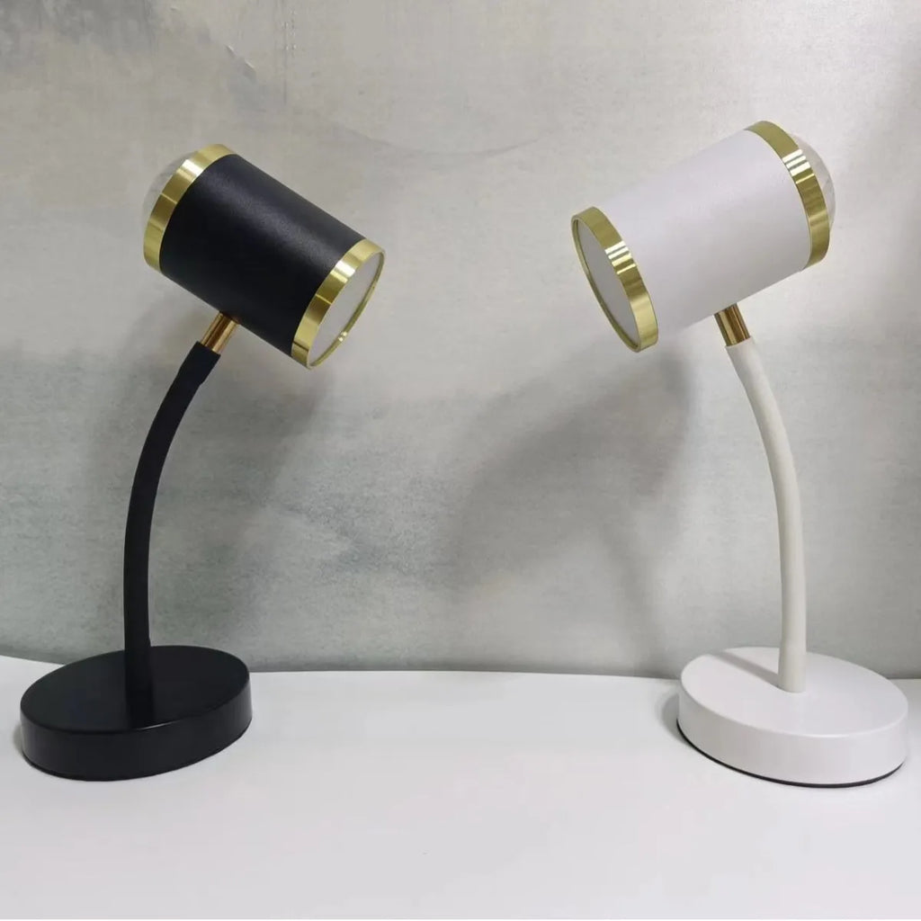 Black and white double-headed photography atmosphere lamp for live streaming studio lighting