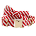 Striped green dog collar with engravable panel and decorative red bow knot attached