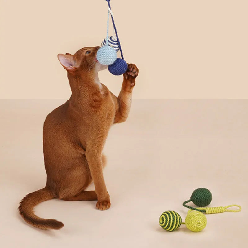 Cat toy set with blue and green teaser stick, red and yellow catnip balls, and a tumbling pet on a white background