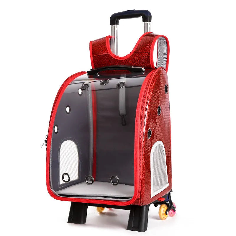 Transparent folding pet trolley shoulder bag for small dogs and cats with 12 Jin capacity