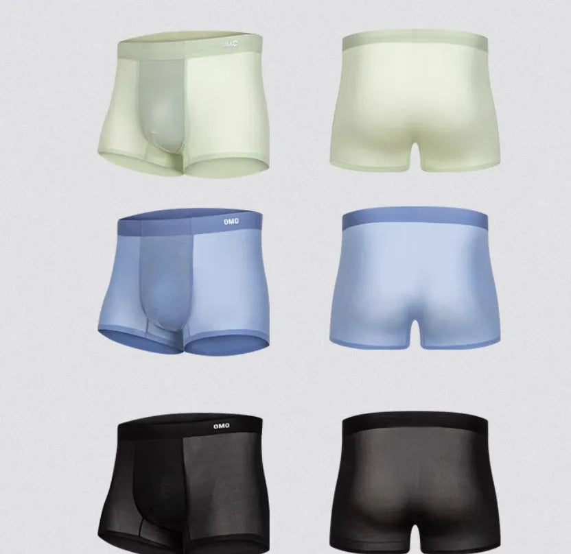 Seamless antibacterial fitness shorts in four colours with dual-fabric construction for workouts