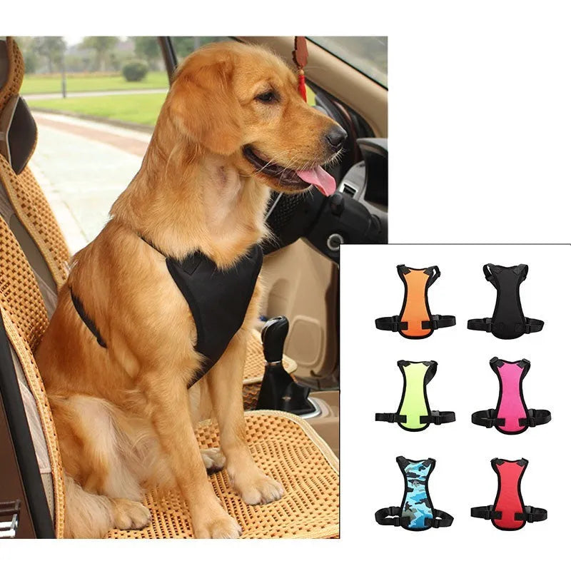 Pet car seat belt in nylon and canvas with adjustable traction design in five colours