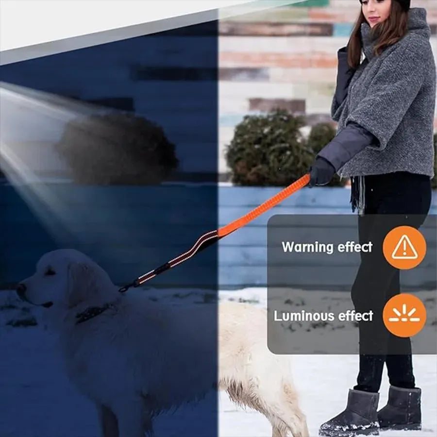 Heavy-duty elastic shock-resistant dog leash for medium and large breeds in multiple colours