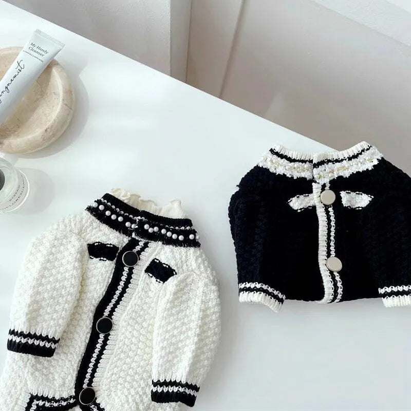 Korean style white dog sweater with pearl collar on small breed pet