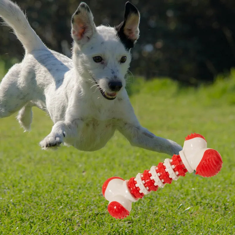 Blue bone-shaped interactive dog toy with a treat holder in the centre for small breed dogs.