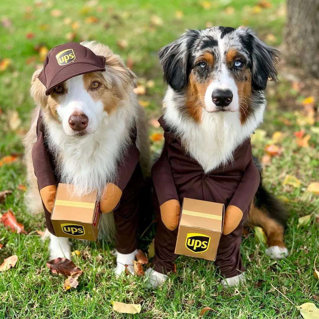 Funny Express pet clothes in brown cloth for dogs and cats size S