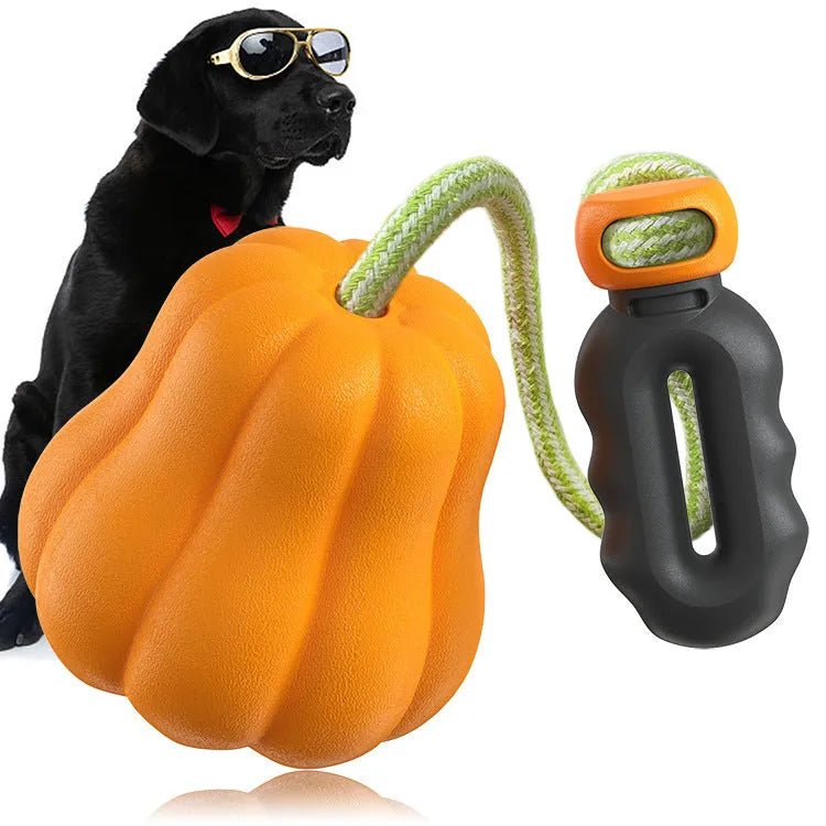 Orange pumpkin design plastic dog toy with rope attachment for long throws