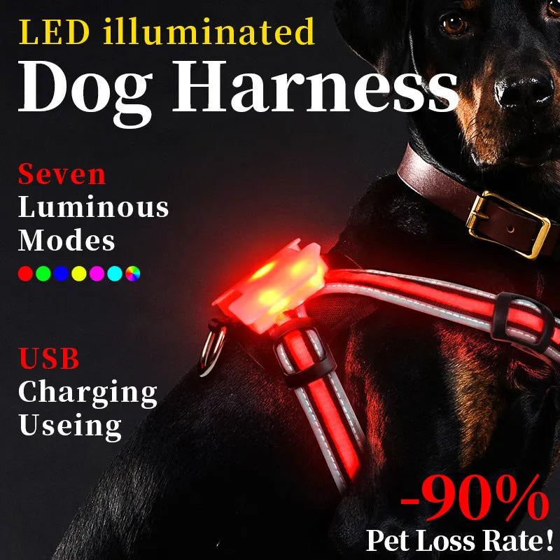 Nylon dog lead with a glowing seven-colour luminous strap and a USB charging cable.