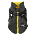 Dog wearing a black insulated chest strap winter coat made of polyester.