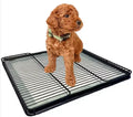 ABS plastic dog toilet tray in black with low-edge design, 61x45x8cm size for small dogs