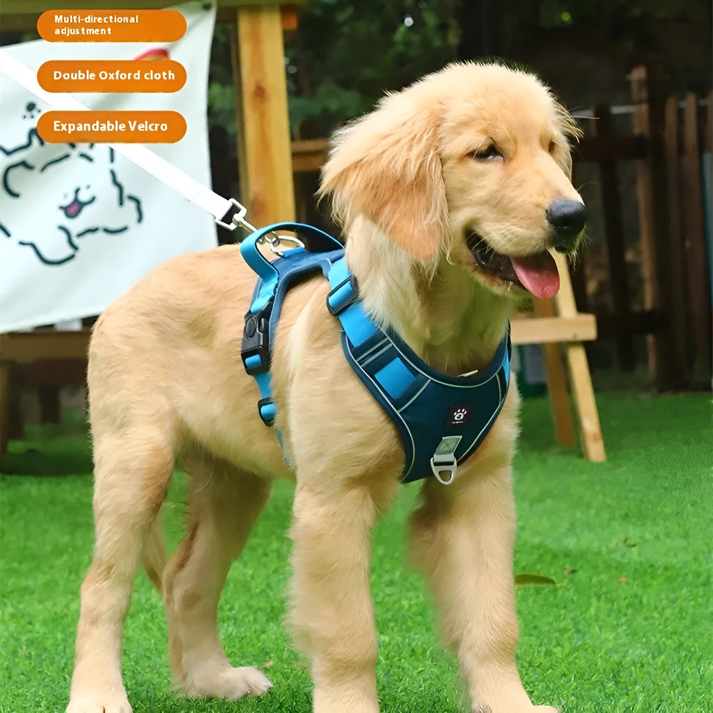 Oxford cloth vest-style dog harness for medium and large dogs in black with optional reflective lead