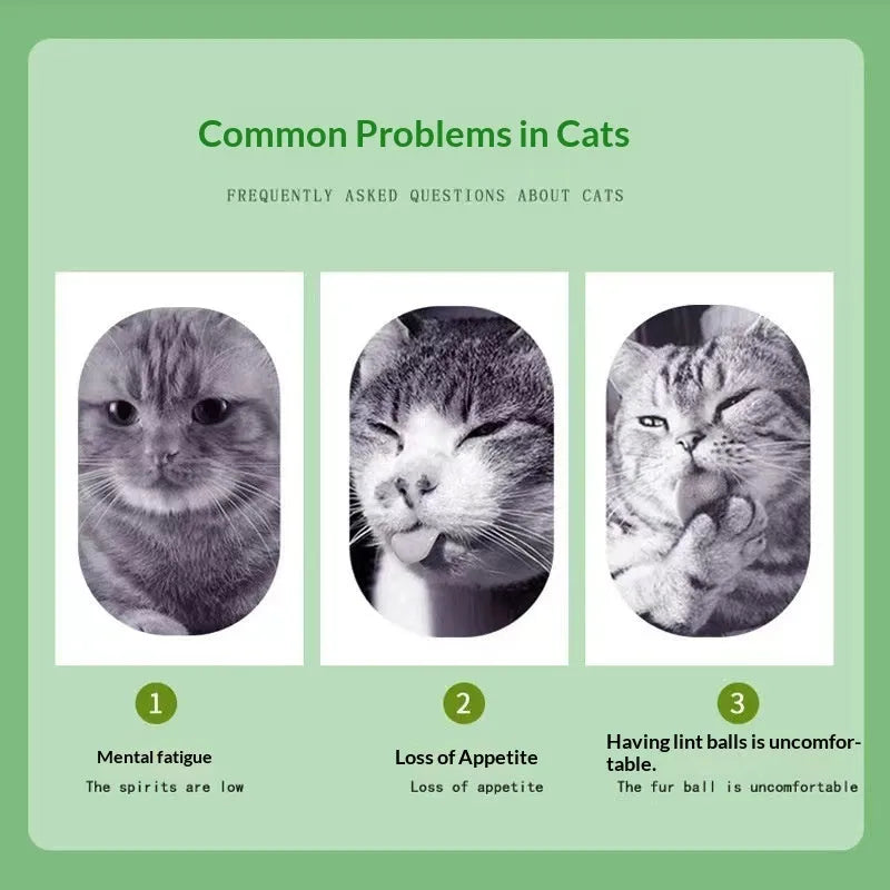 Catnip cat snack in a 1g bag, featuring mint powder for hairball removal and oral cleaning