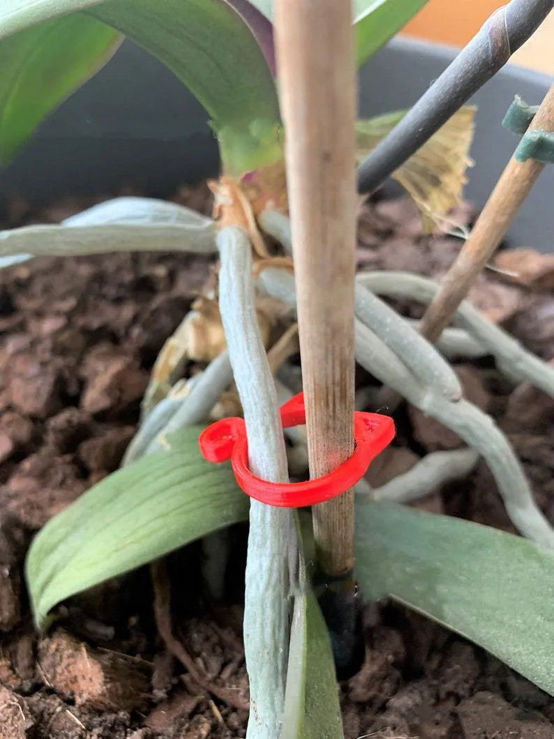 Cat-shaped plastic plant clip in green red white or yellow measuring 3x4x0.5cm for gardening