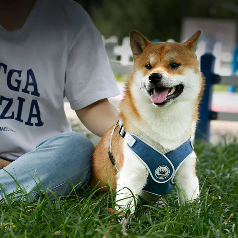 Adjustable green mesh dog harness with metal ring and leash on a mannequin.