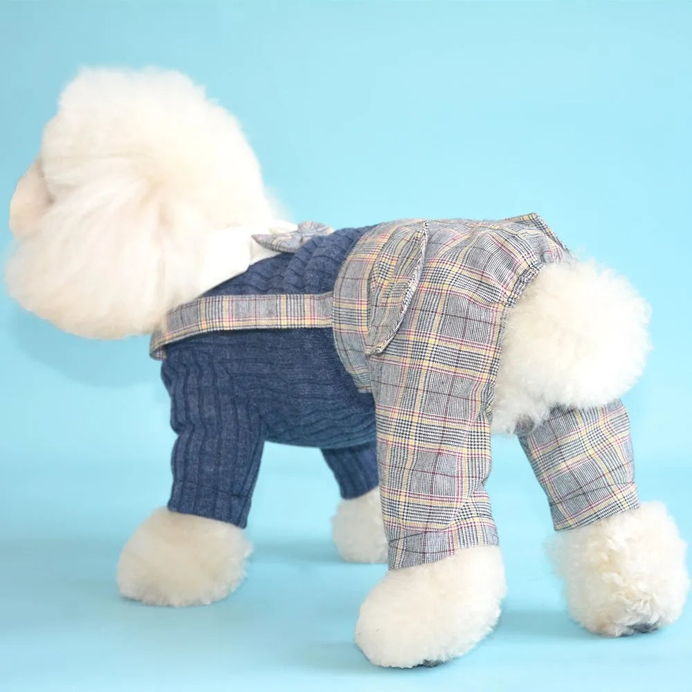 Orange cotton button-up shirt on a small dog, showing long sleeves and collar.