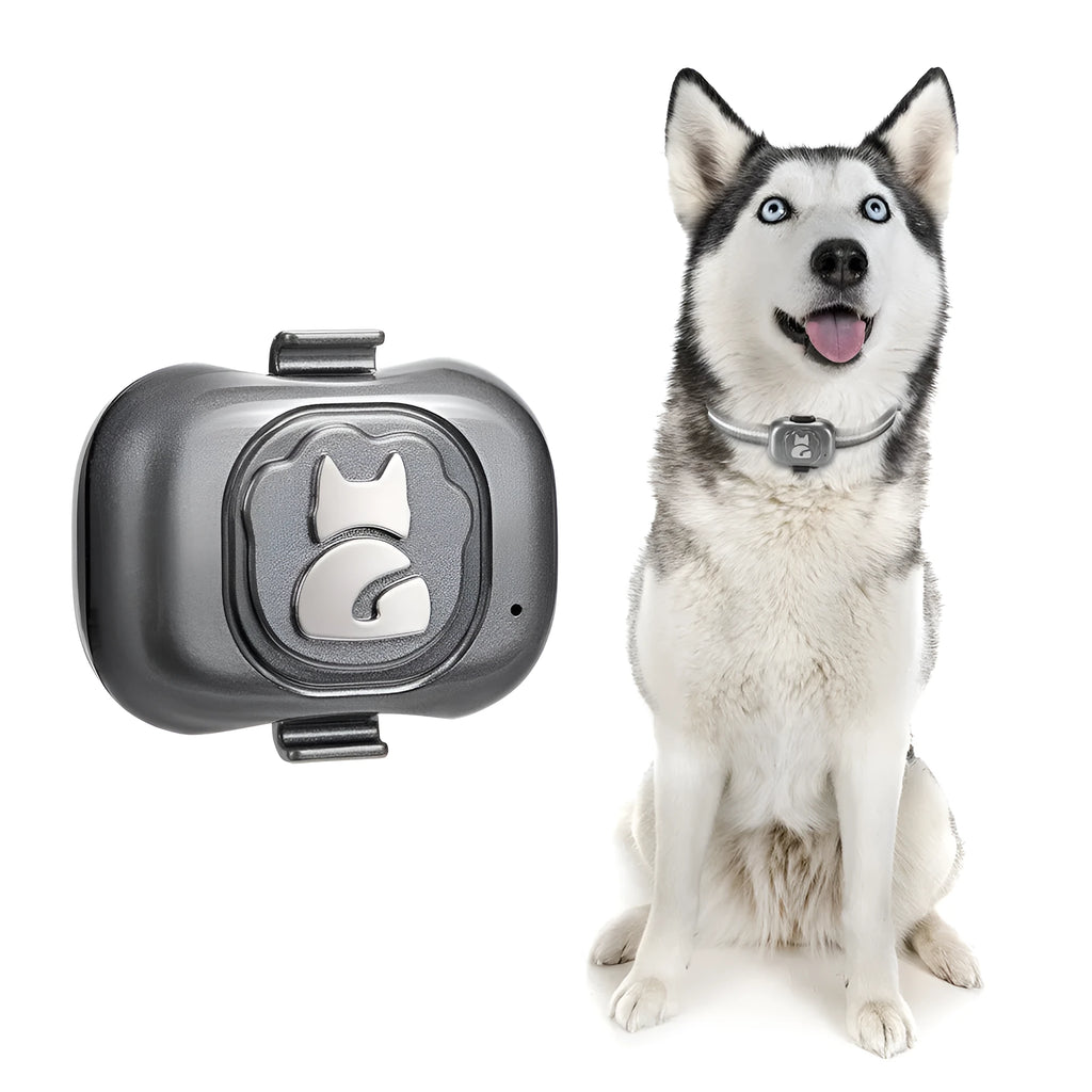 Black pet GPS locator with hanging rope for attachment to dog or cat collars