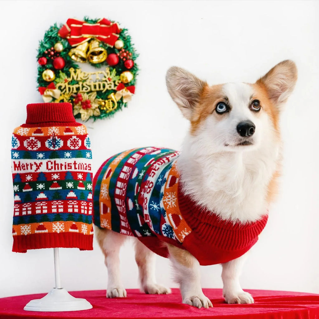 Pet dog wearing a red and green Christmas turtleneck wool sweater, side view