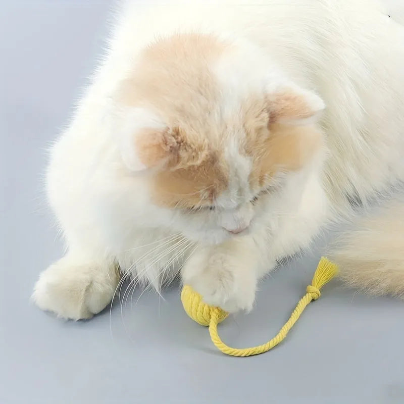 Colourful cat toy ball with attached rope, internal bell makes sound when rolled