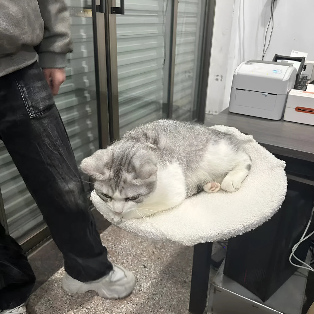 Portable iron cat nest with metal rack, disassembly design for indoor cats