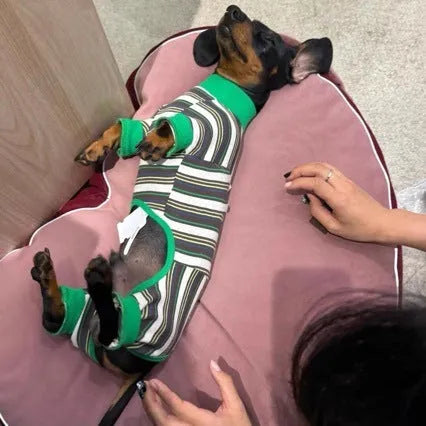 Warm striped dog vest for autumn and winter pet clothing, available in sizes S to XXL