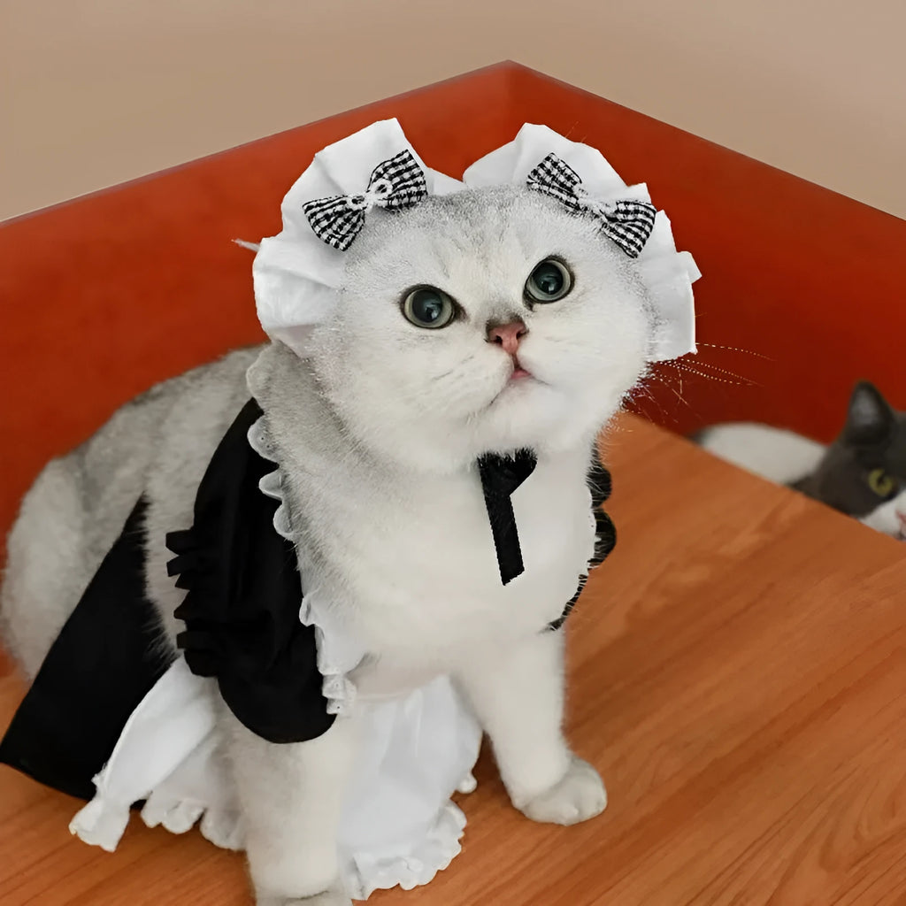 Cat costume dress set with headpiece and skirt in black maid style for adult cats