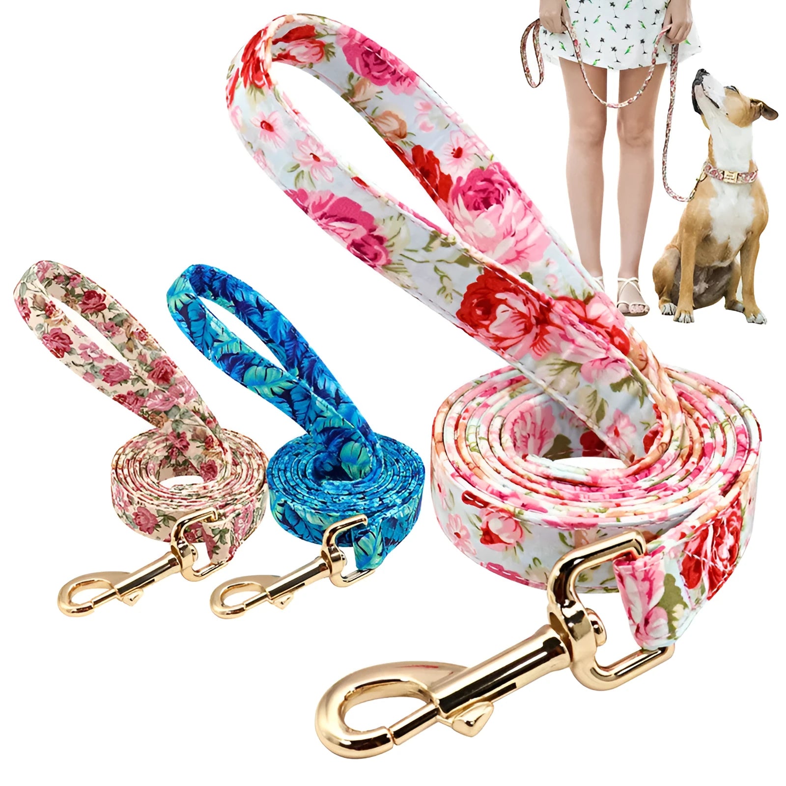 Nylon dog traction rope leash 1.5m x 2cm in small floral beige colour on white background