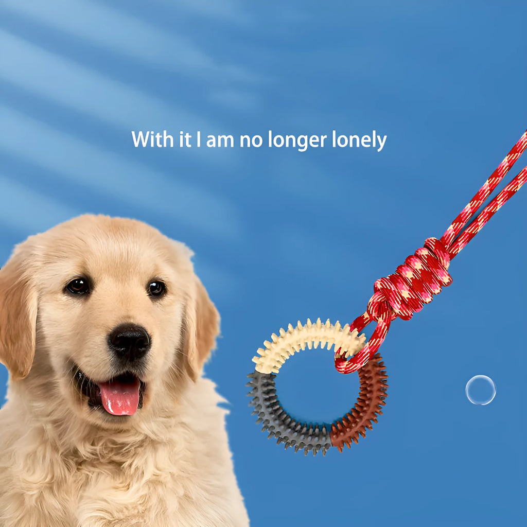 Blue braided rope knot dog toy showing knotted design and textured surface