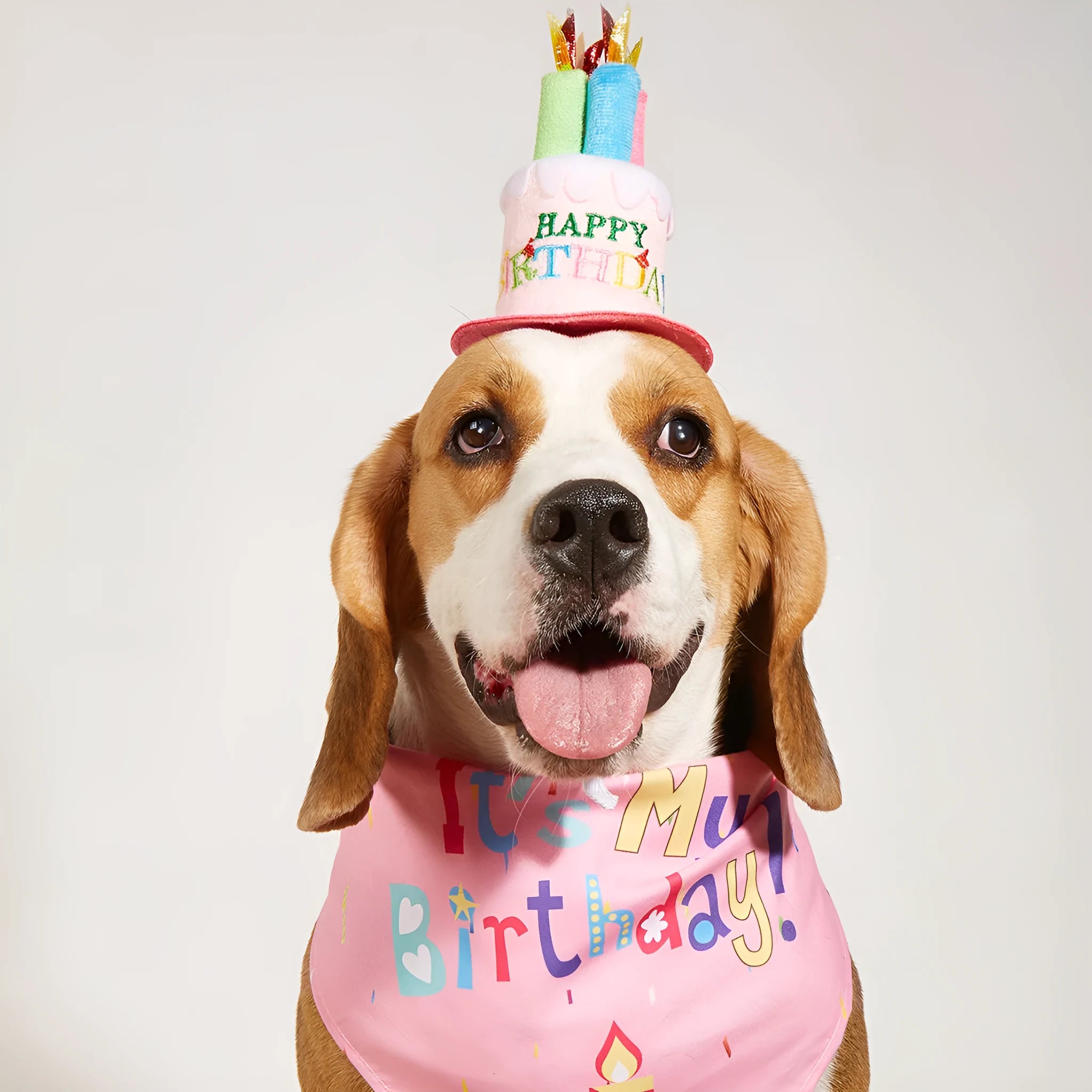 Cartoon printed dog birthday hat and drool towel set in polyester