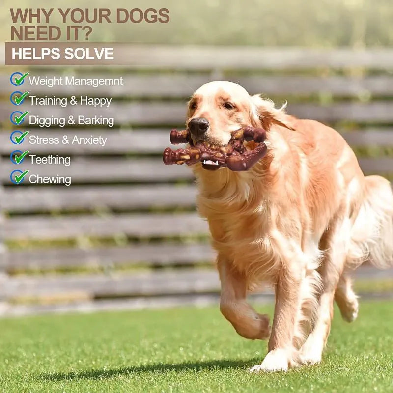 Scarlet nylon dog molar nibbling toy with beef flavour and textured grooves for dental care
