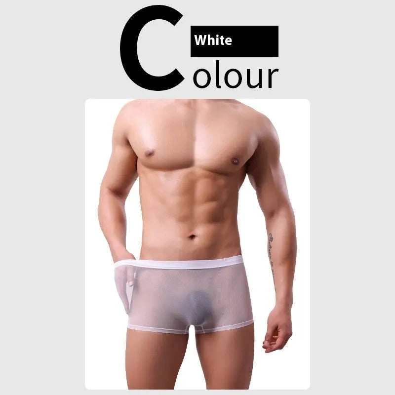 Sheer black men's mesh boxer briefs with a low-waist design on a white background.