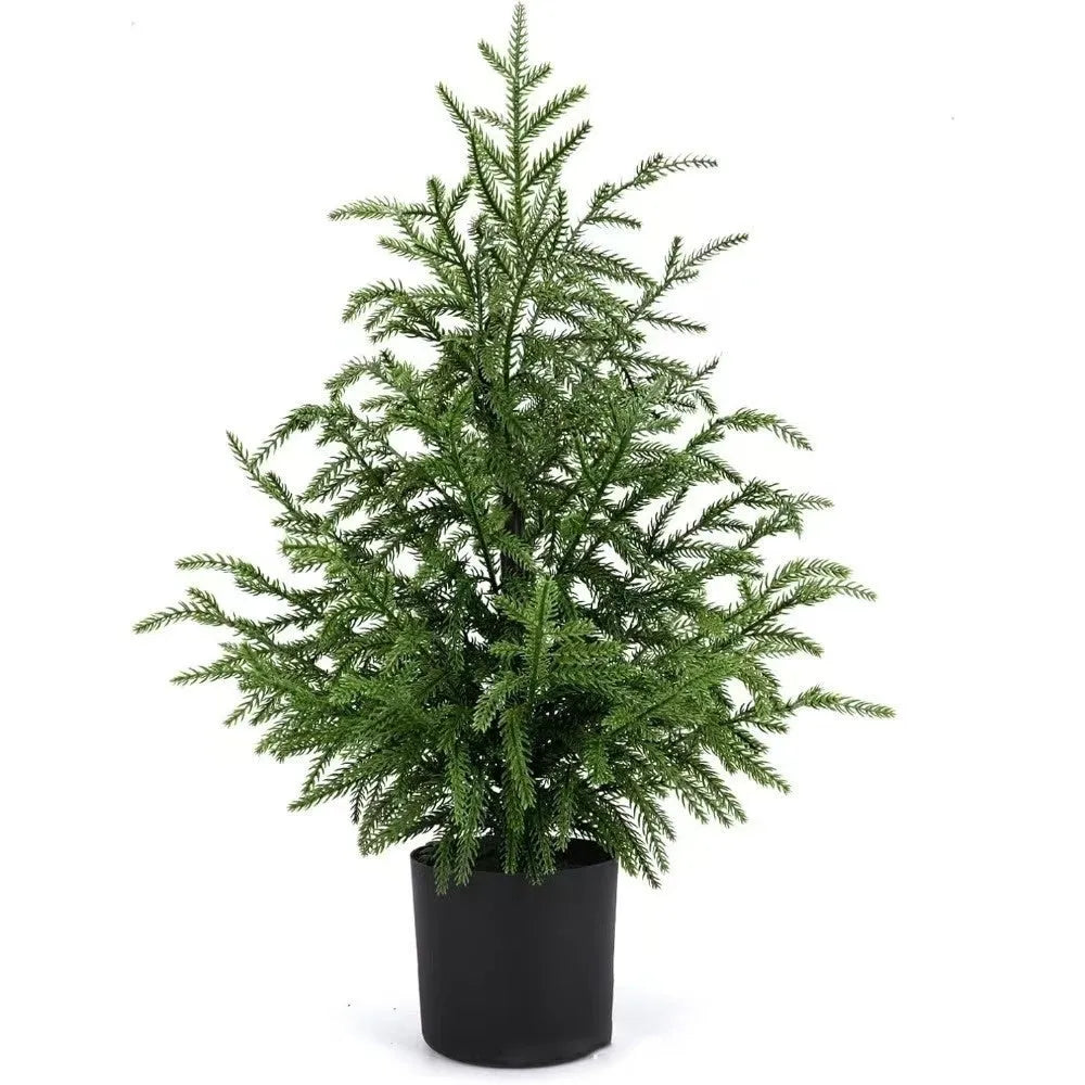 60cm Norfolk Pine Christmas tree in black flowerpot with adjustable moving fork branches