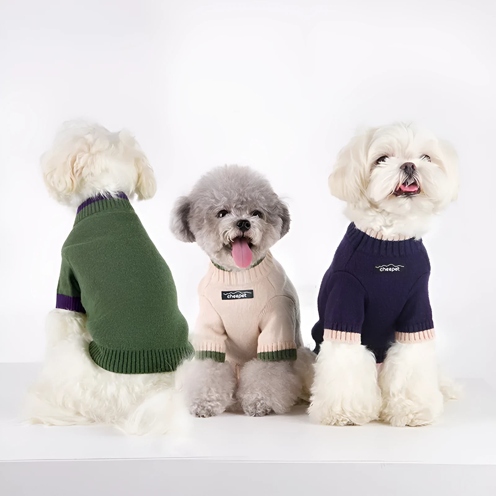 British-style wool pet sweater with two-leg design and contrast colour trim for dogs and cats