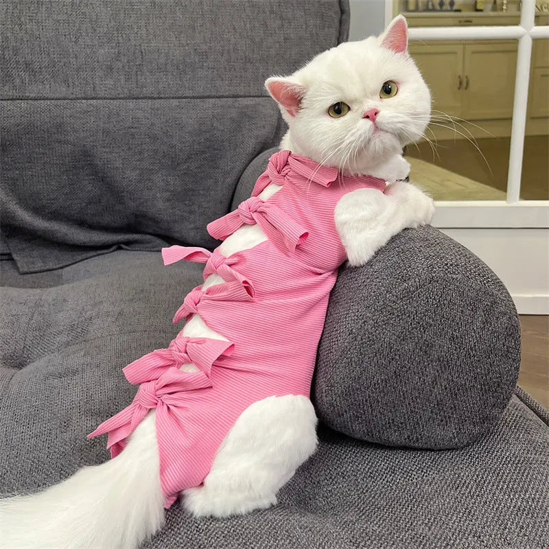 Cat wearing blue polyester recovery suit with lace-up back closure after sterilisation surgery