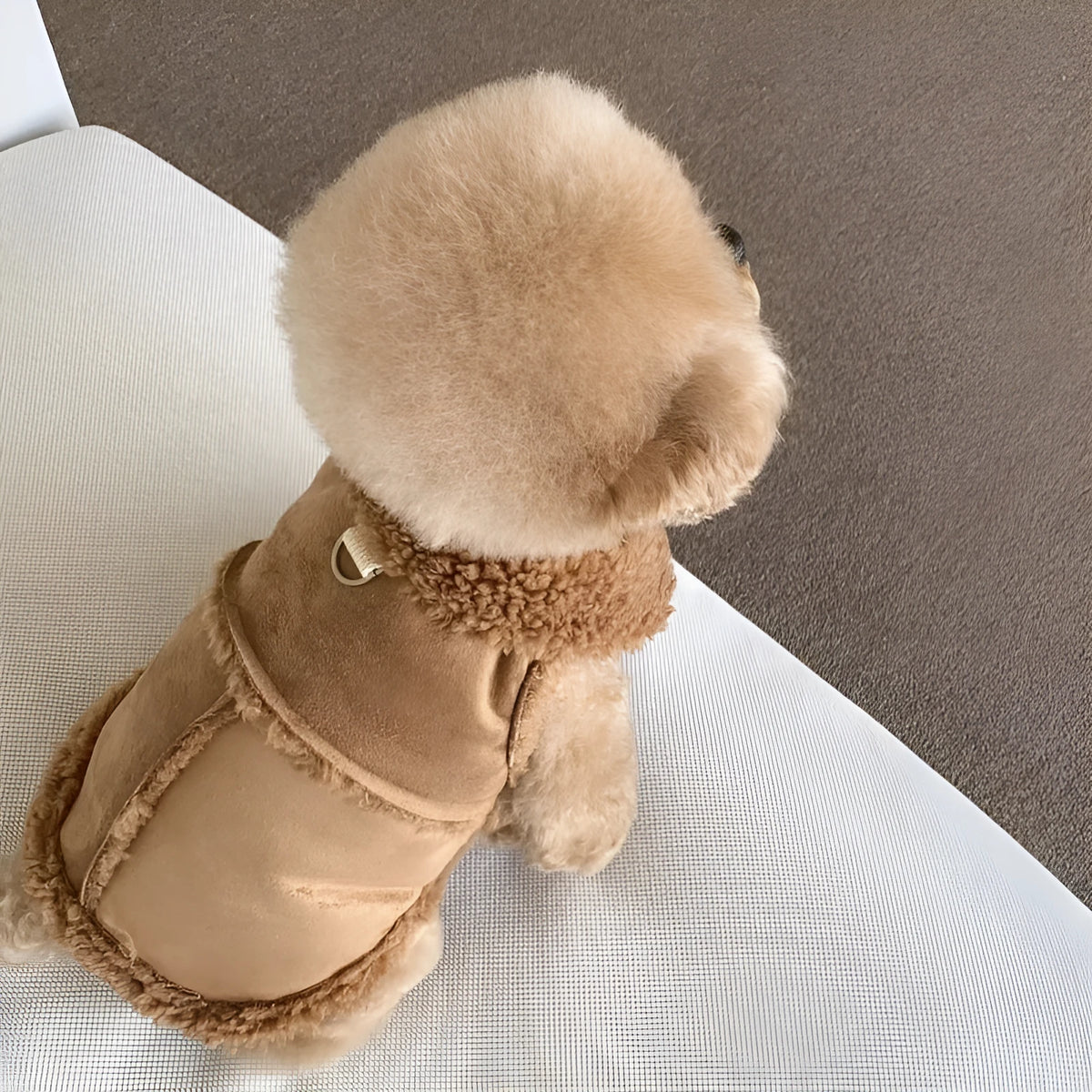 Pet autumn winter traction warm vest in brown, pink, or white, sizes XS to XL back length 20cm to 40cm