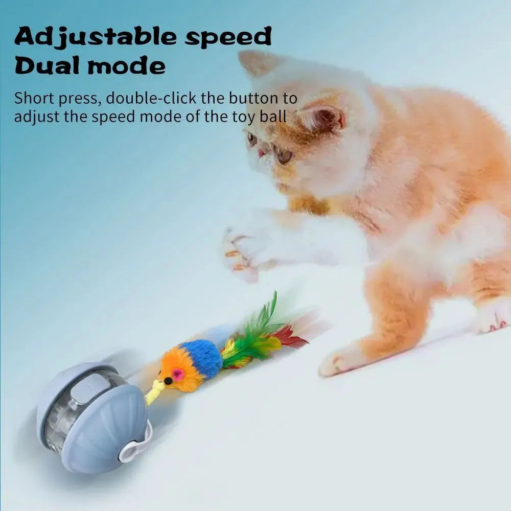 Upgrade cat interactive ball toy with faux tail, laser pointer, and voice reminder in colour options