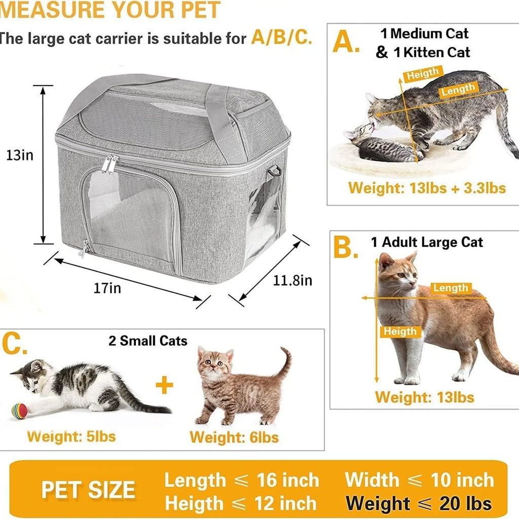 Breathable pet carrier backpack with hard baseplate for dogs and cats in black