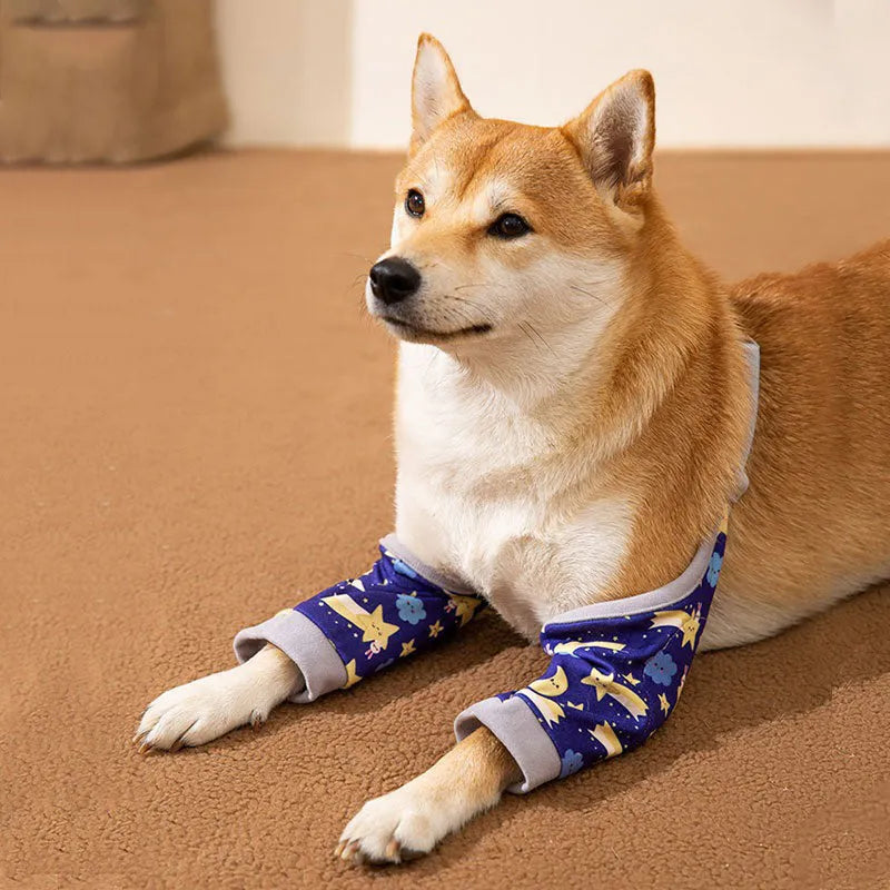 Adjustable dog knee protector guard with thick elbow pad and matching scarf in blue, on a medium-sized dog.