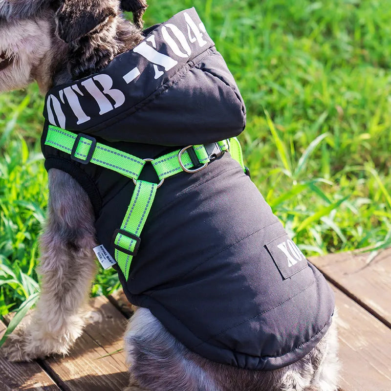 Red waterproof fleece-lined dog winter jacket with hood on small dog
