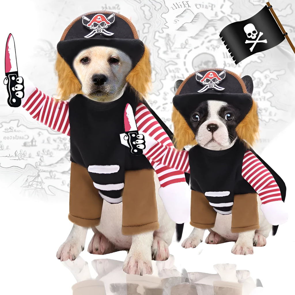 Pirate pet costume set for dogs and cats with matching hat on animal