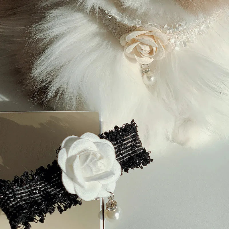 Magnolia flower pet collar accessory with chain in black on white background