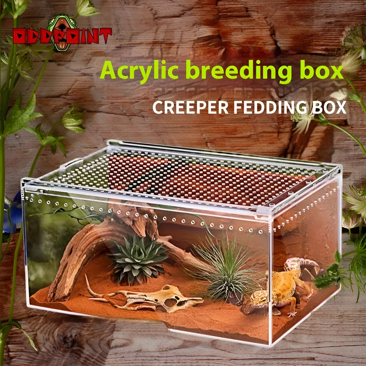 Transparent acrylic reptile feeding box showing ventilation design and clear PC construction