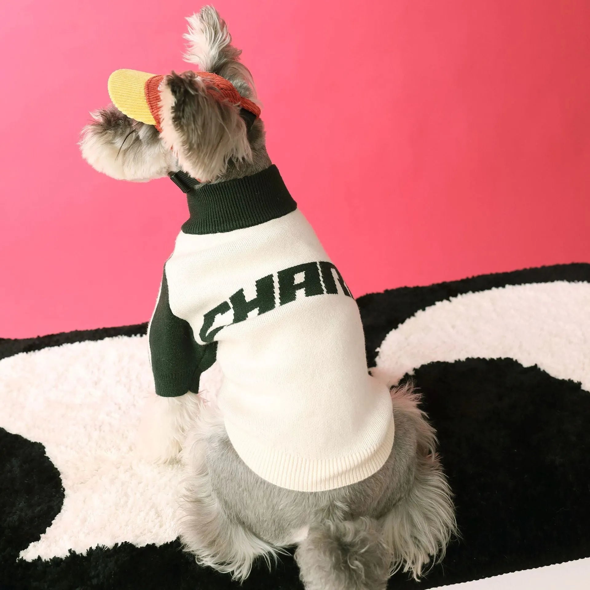 Men's dog sports sweater cardigan in wool for puppies, available in dark green or red