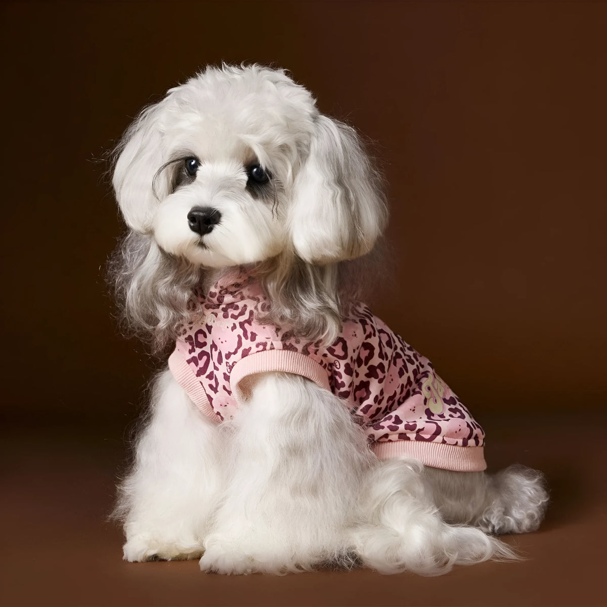 Leopard print sleeveless hooded dog sweater in coffee colour on small breed dog