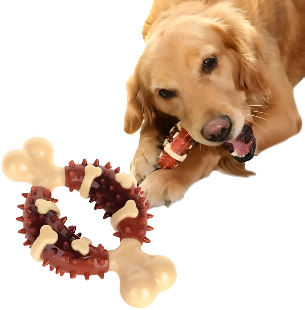 Natural rubber bone-shaped dog dental chew toy in two sizes for teeth cleaning and anxiety relief