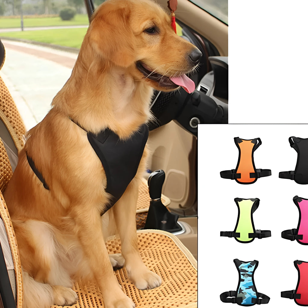 Pet car seat belt in nylon and canvas with adjustable traction design in five colours