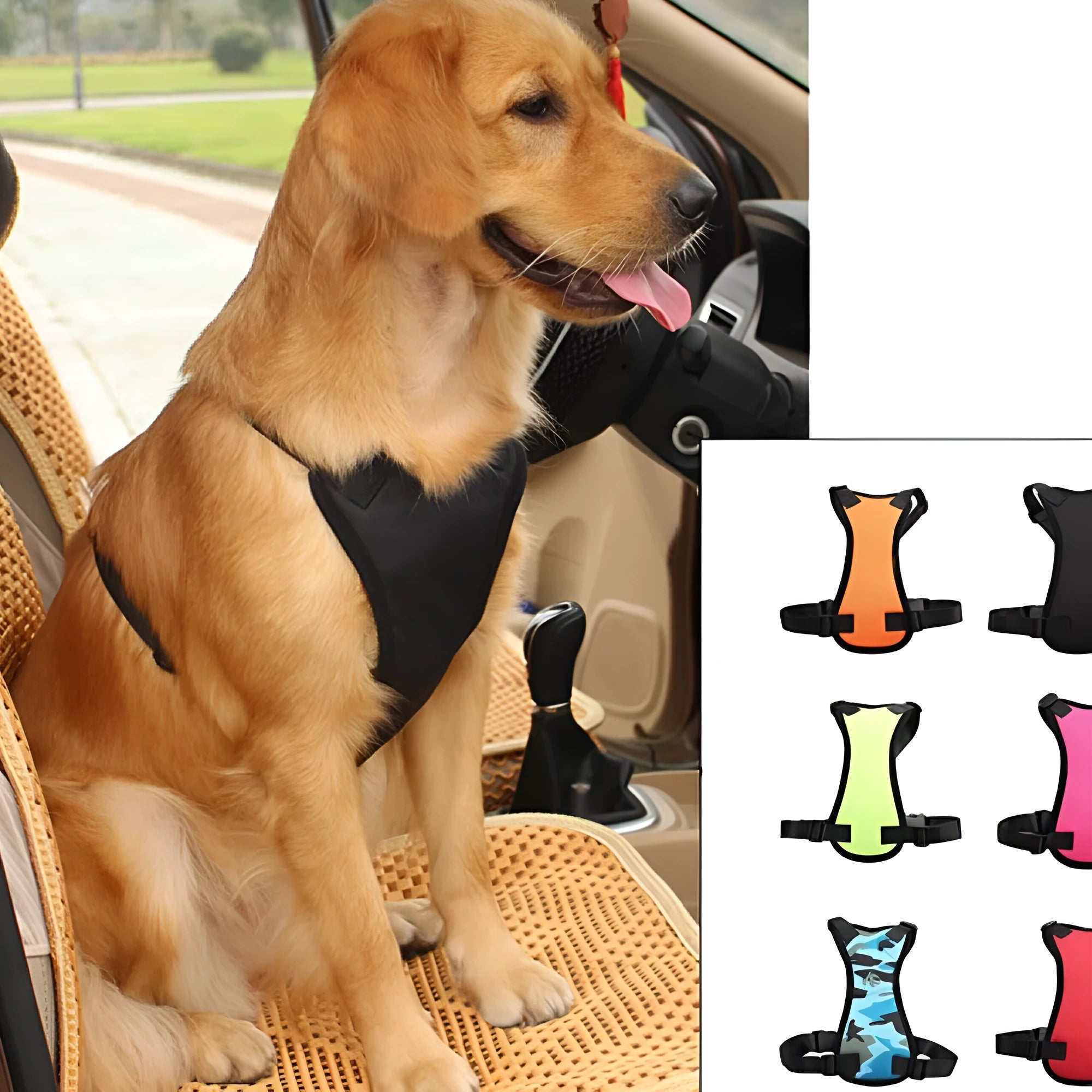 Pet car seat belt in nylon and canvas with adjustable traction design in five colours