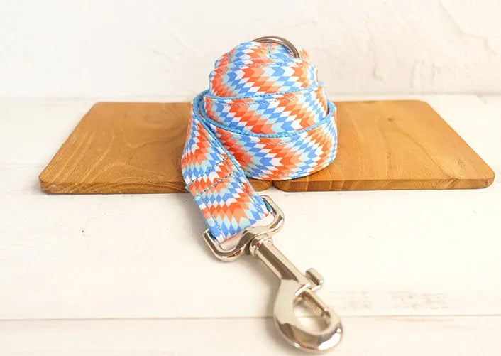 Money loop dog leash set in orange blue with polyester running rope on white background